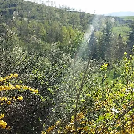 別荘 Casa Ridapio: Trail & Relax