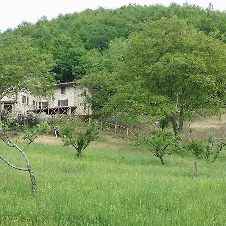 Casa Ridapio: Trail & Relax Дом отдыха