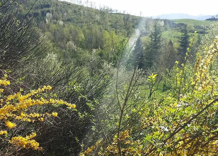 Hébergement de vacances Casa Ridapio: Trail & Relax